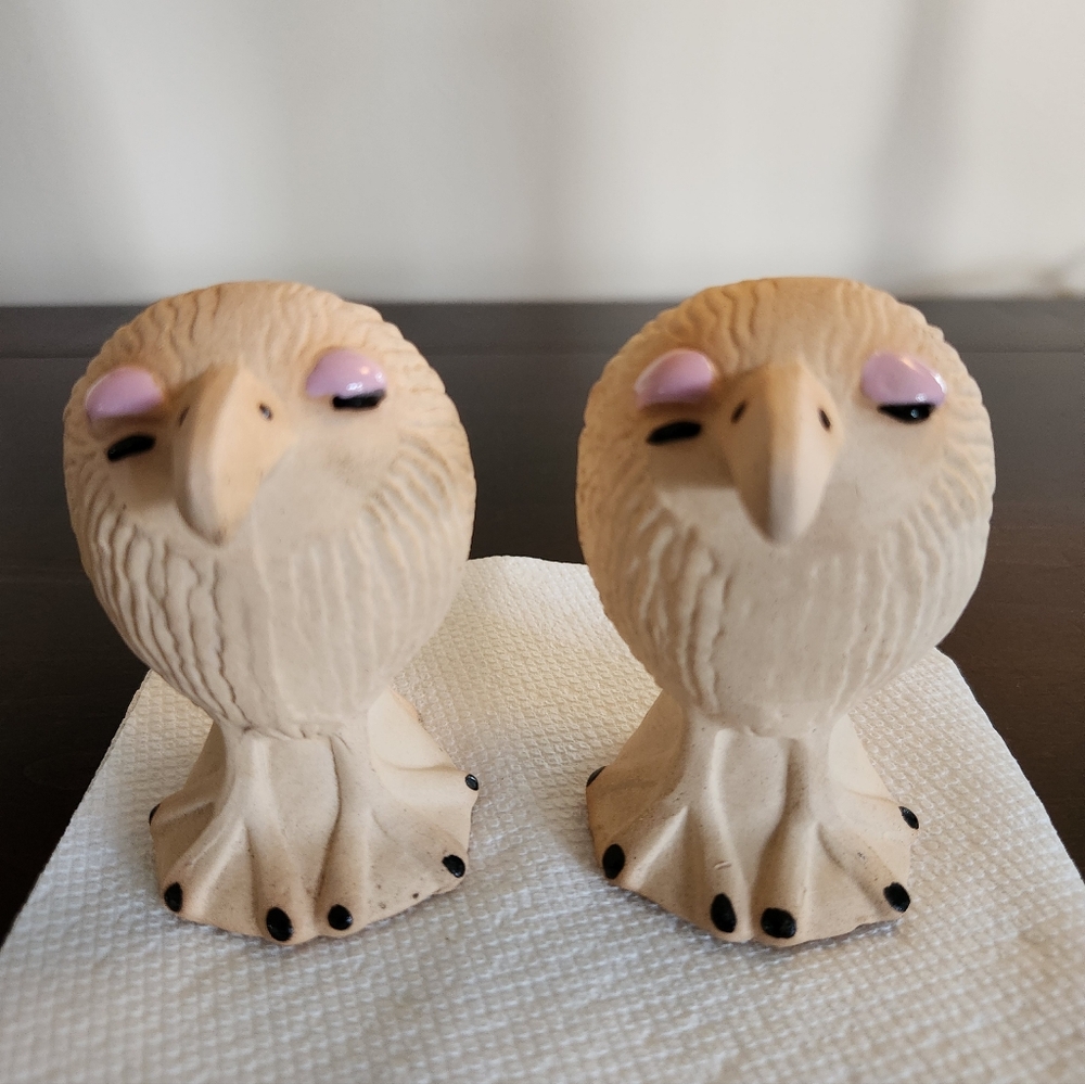 1960s Kiwi Bird Salt and Pepper Shakers